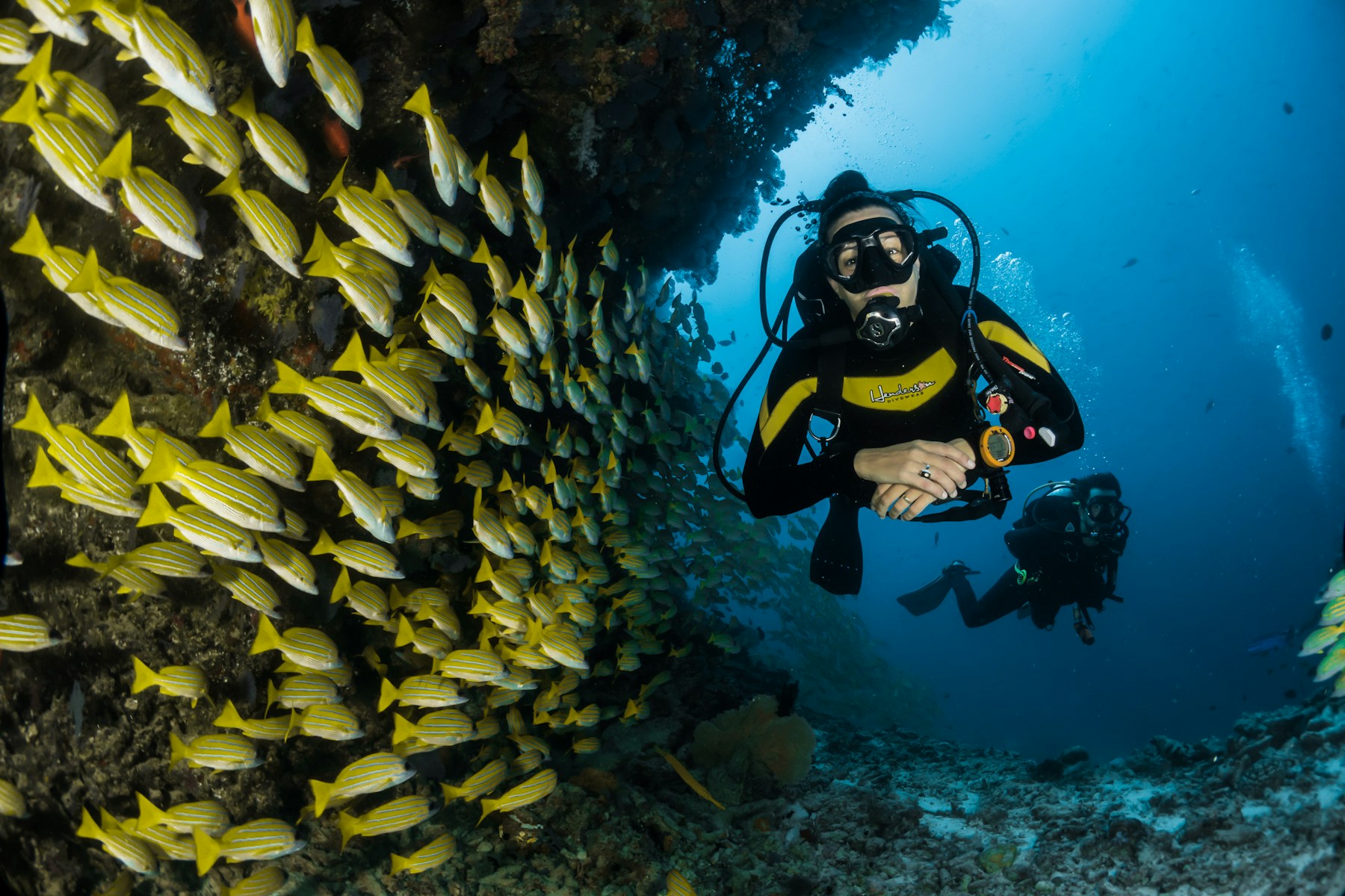 Exploring clear tropical waters, illustrative placeholder